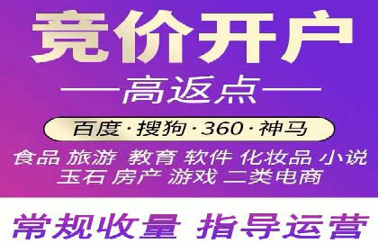 某电商平台的SEM推广实战经验